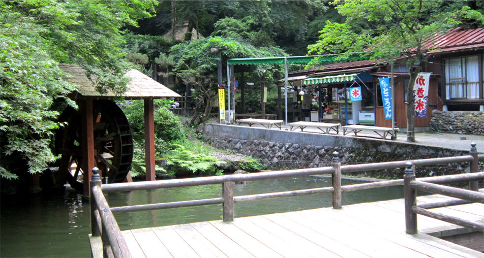 池の中にいる鯉にエサもあげることもできますよ!